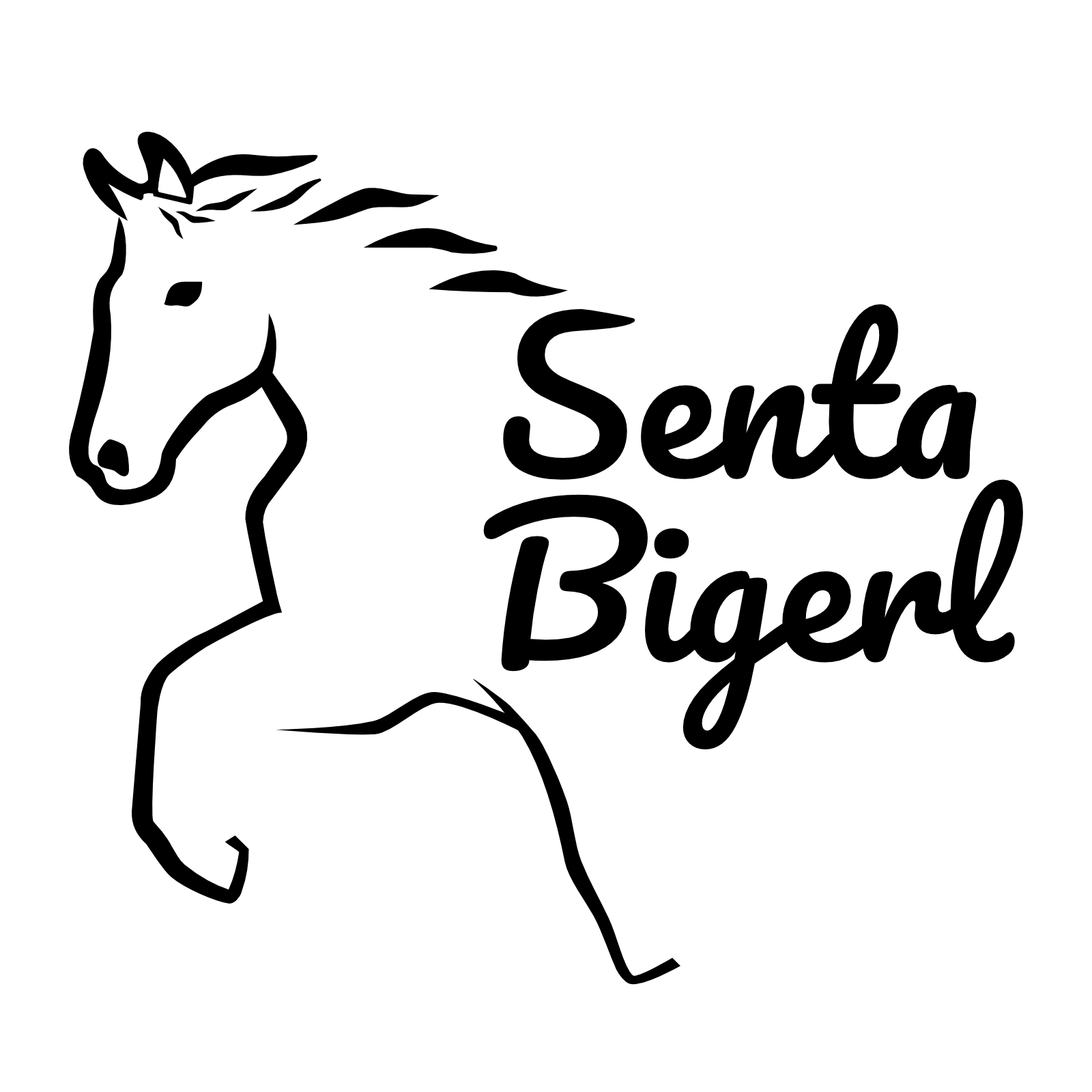 Senta Bigerl Logo